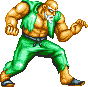 Fatal Fury, transformado